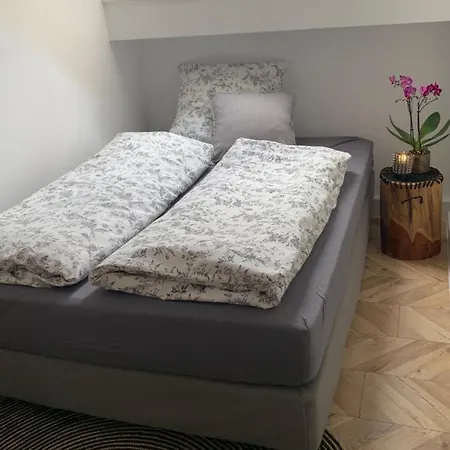 Apartment Nibelungen Boardinghouse 3 *