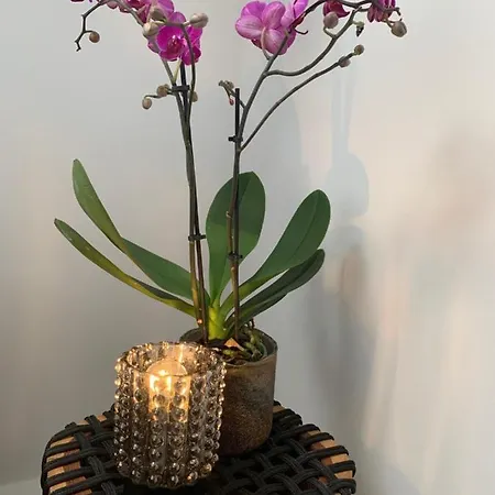 Apartament Nibelungen 3 Lindenfels