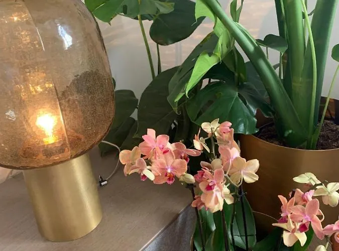 Nibelungen 3 شقة *