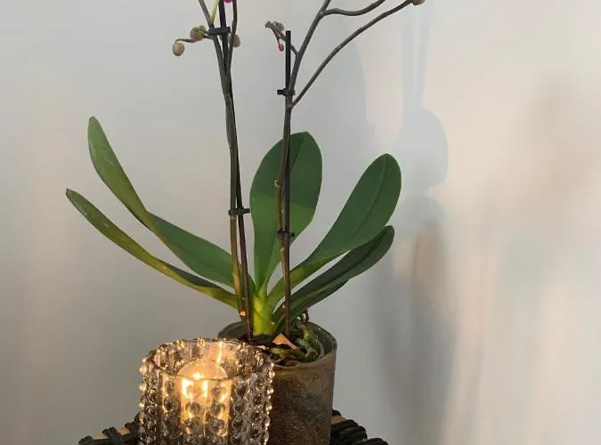 شقة Nibelungen 3 Lindenfels